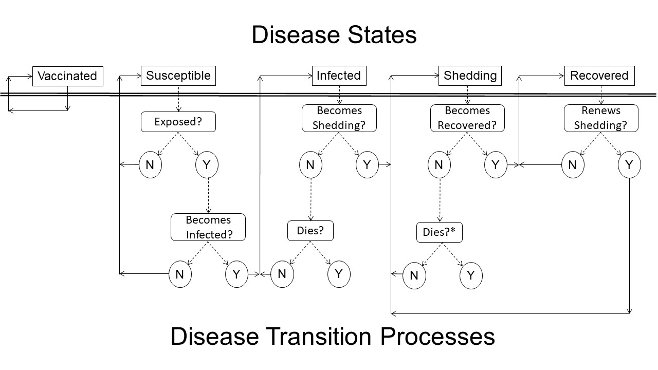 New flowchart